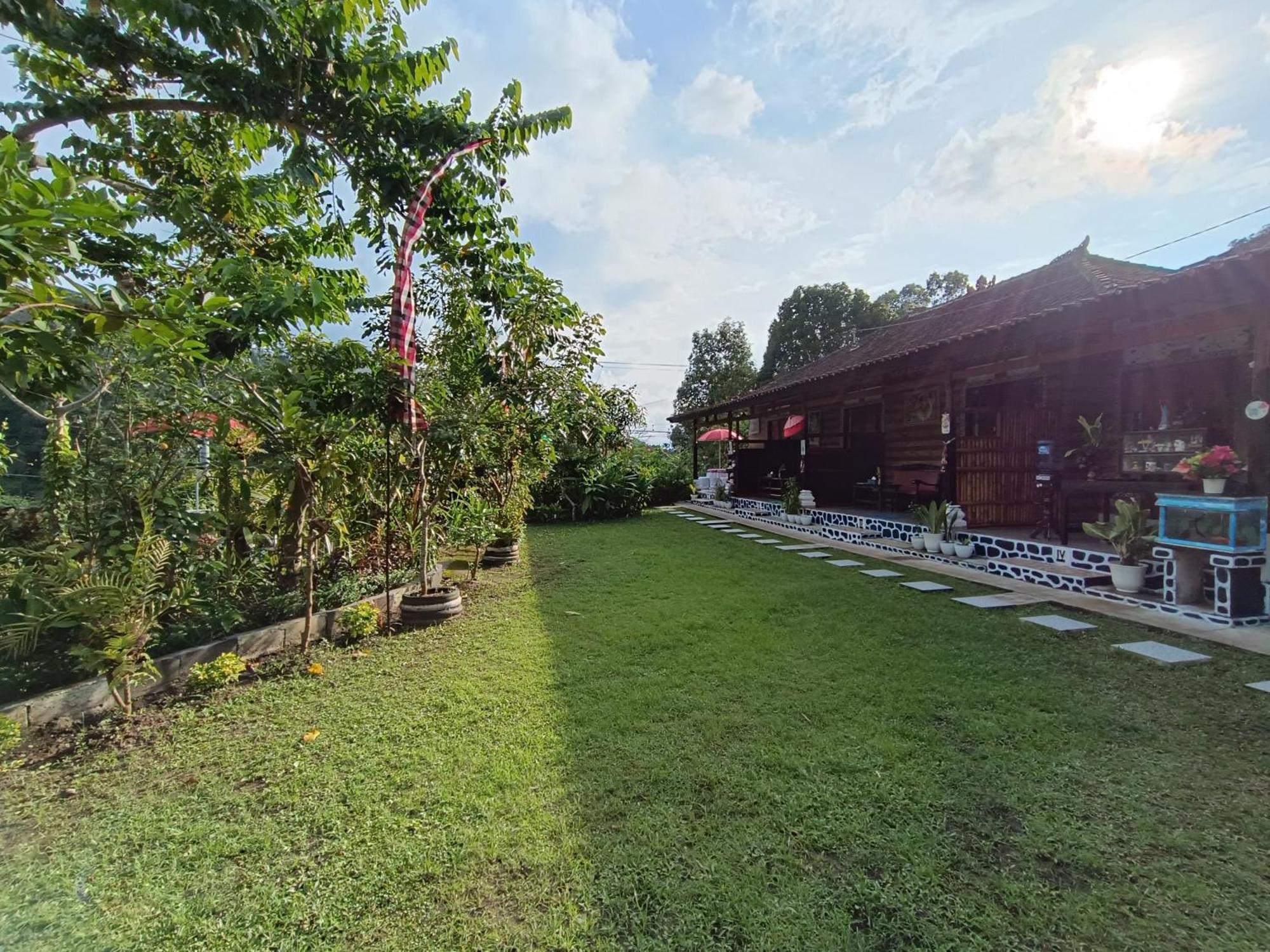Appartamento Gosela Bali Munduk Esterno foto