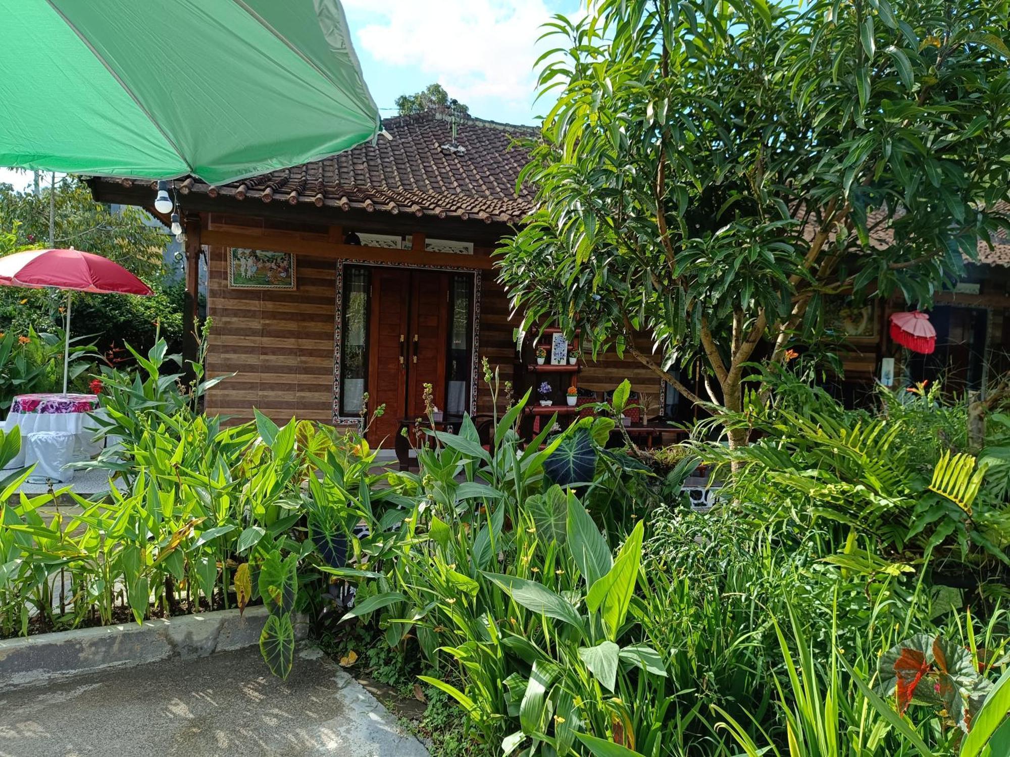 Appartamento Gosela Bali Munduk Esterno foto