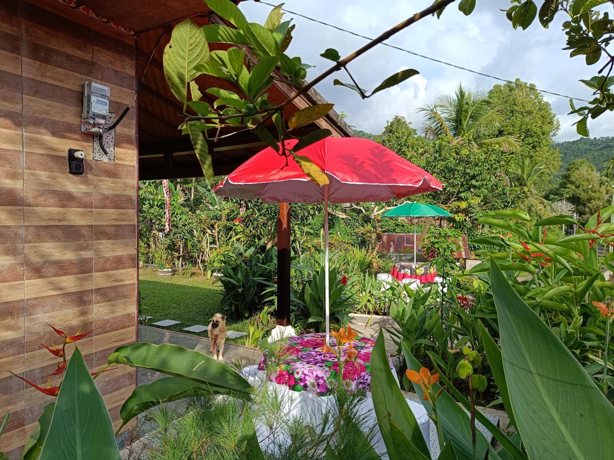 Appartamento Gosela Bali Munduk Esterno foto