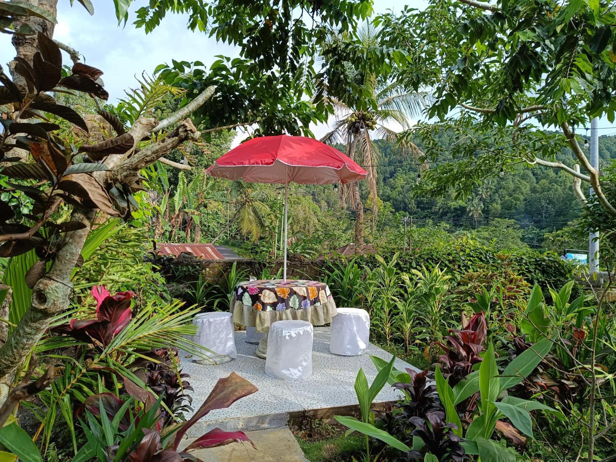 Appartamento Gosela Bali Munduk Esterno foto
